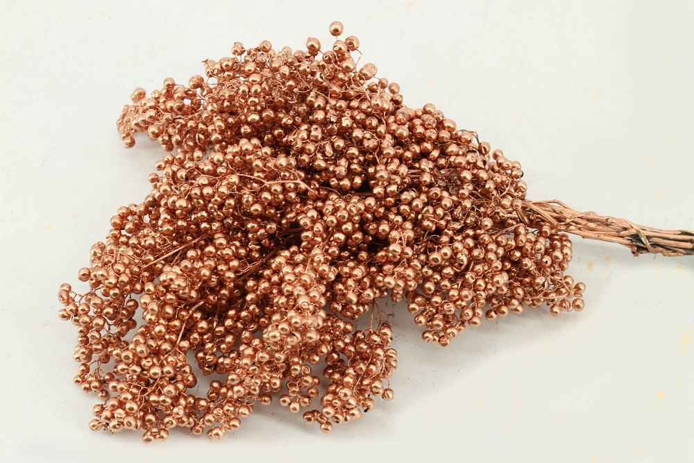Срезанные цветы оптом Schinus mollis paint copper от 10шт из Голландии с доставкой по России