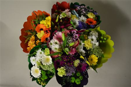 Срезанные цветы оптом Bouquet 11 stem orange от 7шт из Голландии с доставкой по России