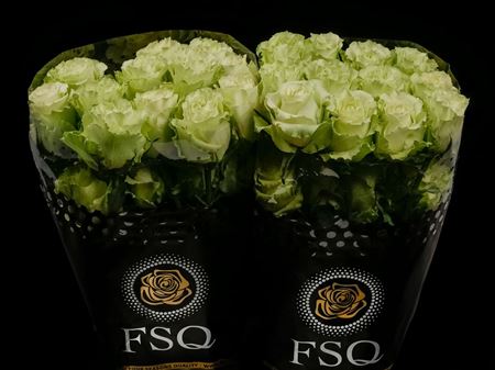 Срезанные цветы оптом Rosa ec lemonade от 40шт. из Голландии с доставкой по России