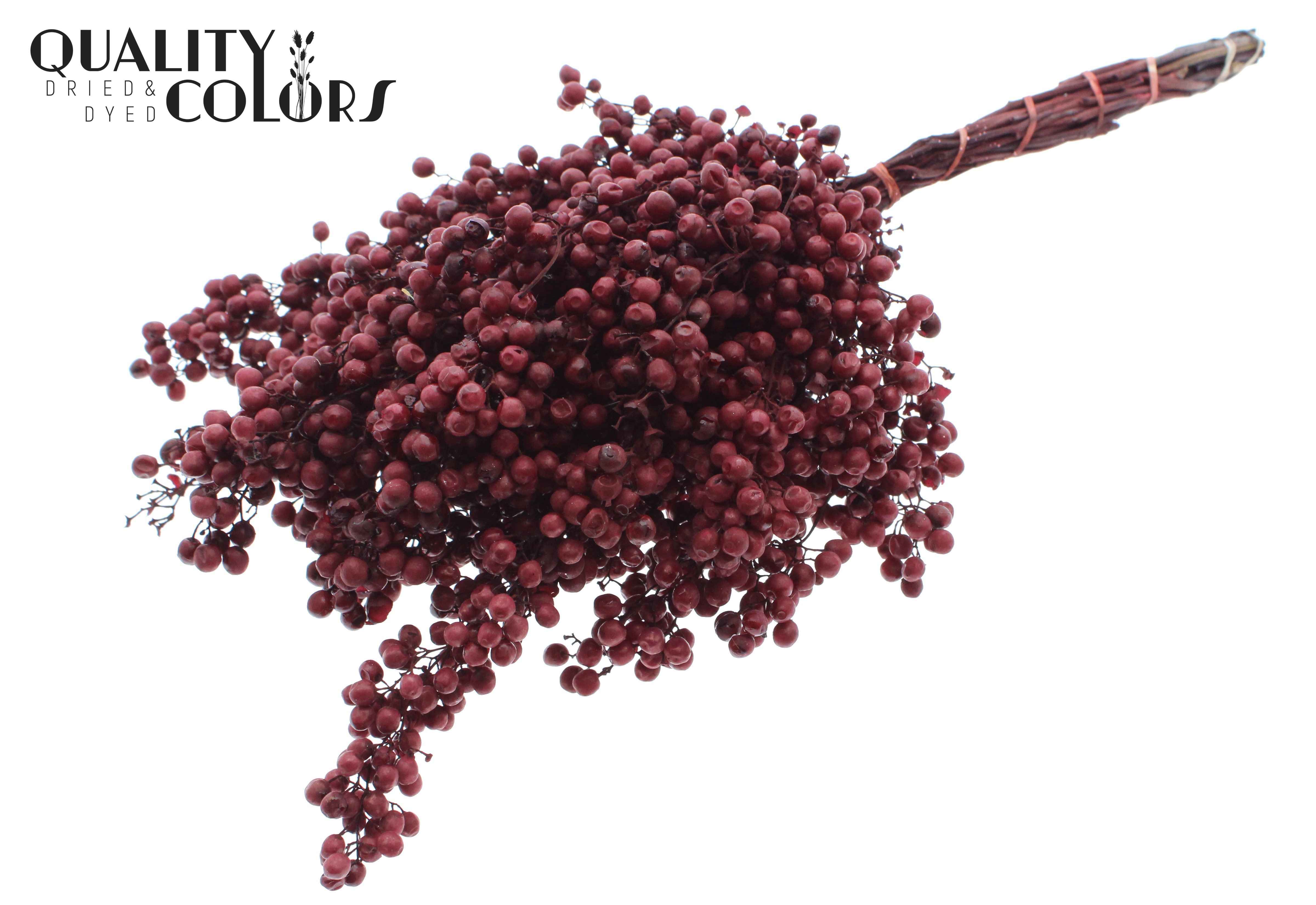 Срезанные цветы оптом Pepperberries per bunch in poly burgundy от 5шт из Голландии с доставкой по России