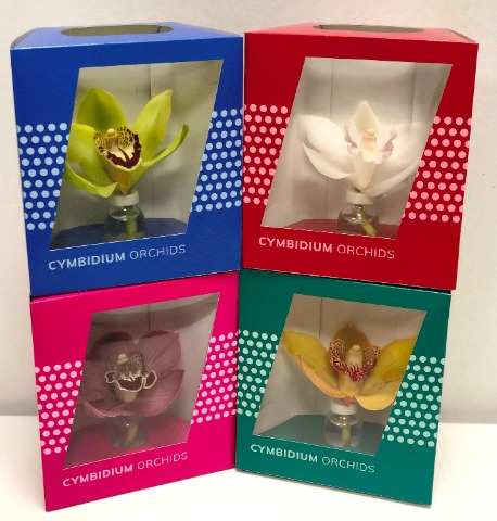 Срезанные цветы оптом Cymbidium packed per flower от 12шт из Голландии с доставкой по России