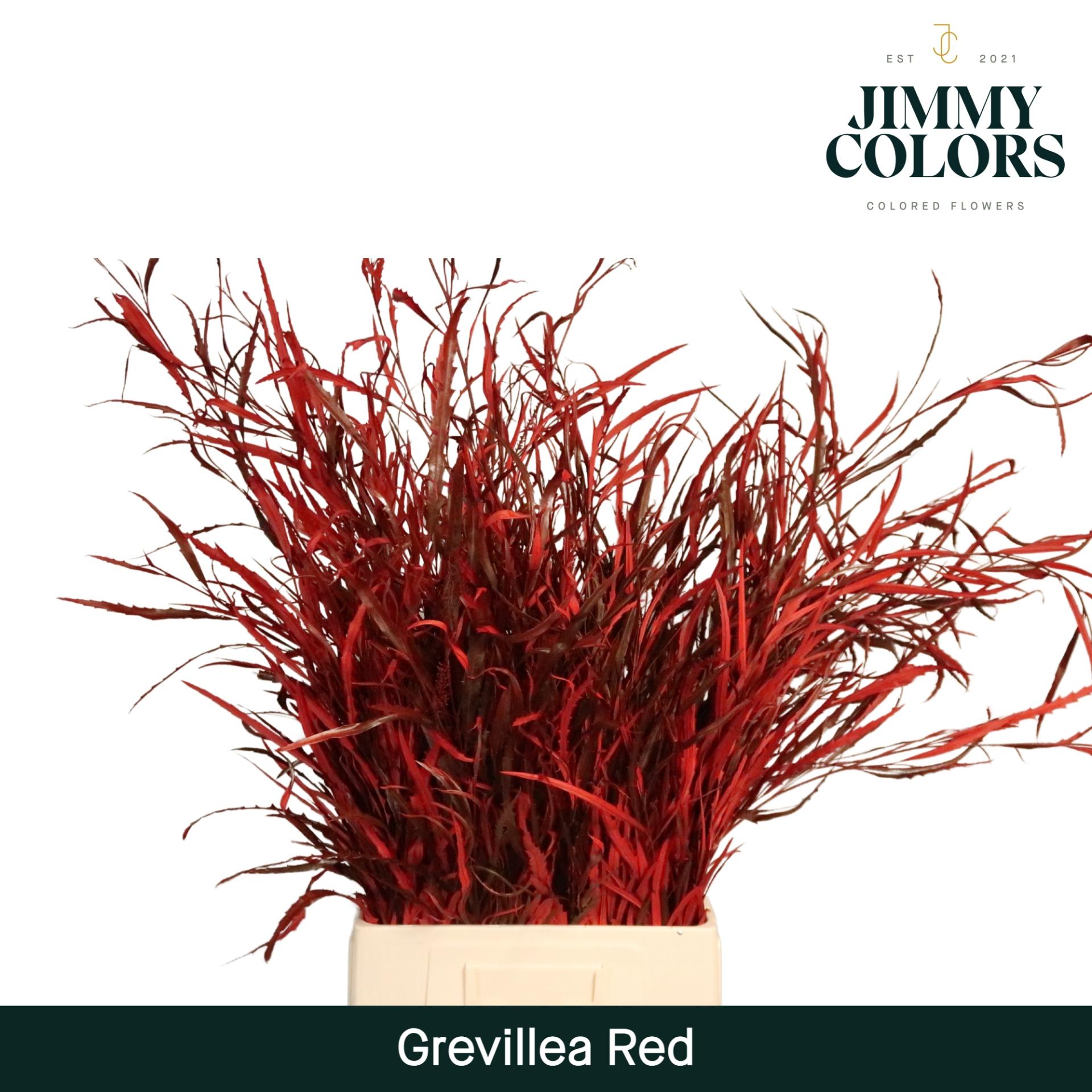 Срезанные цветы оптом Grevillea paint red от 10шт из Голландии с доставкой по России
