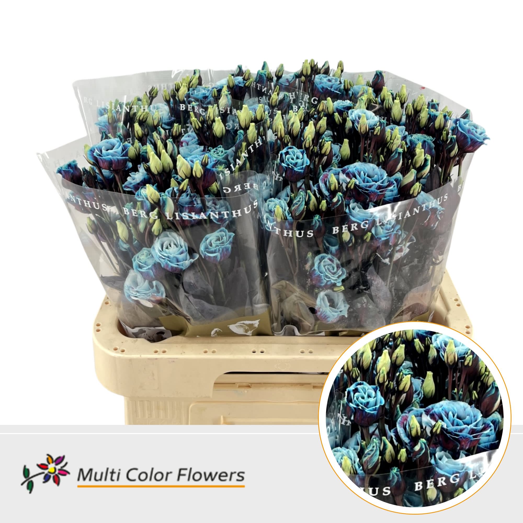 Срезанные цветы оптом Lisianthus do paint terra blue от 40шт из Голландии с доставкой по России