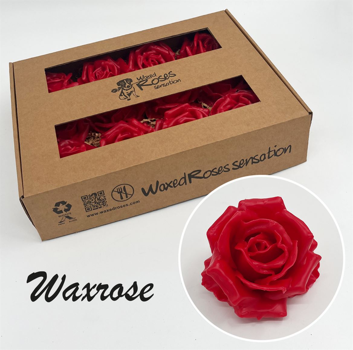 Срезанные цветы оптом Rosa large silk wax red от 12шт из Голландии с доставкой по России