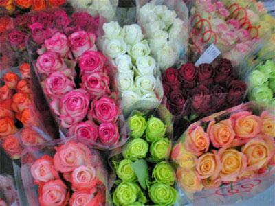 Срезанные цветы оптом Rosa ec mix in box от 150шт из Голландии с доставкой по России