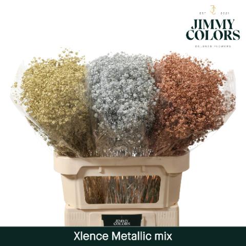 Срезанные цветы оптом Gyps large paint mix от 25шт из Голландии с доставкой по России