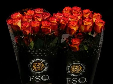 Срезанные цветы оптом Rosa ec high & magic от 40шт из Голландии с доставкой по России