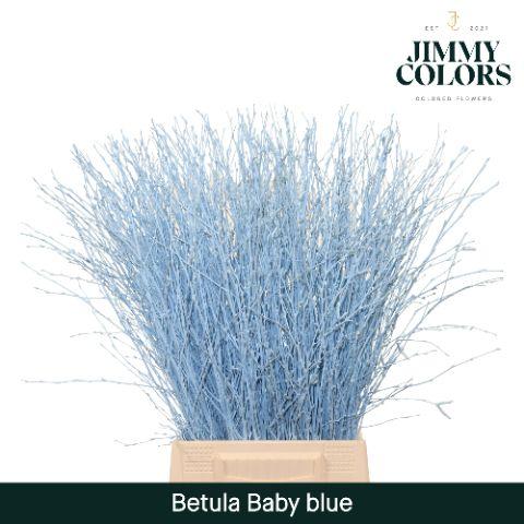 Срезанные цветы оптом Betula paint blue light от 20шт из Голландии с доставкой по России