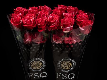 Срезанные цветы оптом Rosa ec pink puma от 20шт из Голландии с доставкой по России