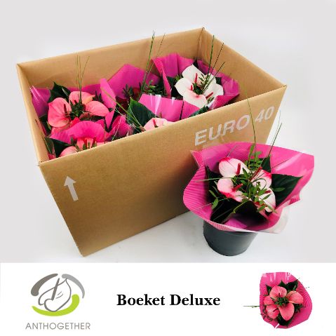 Срезанные цветы оптом Anthurium bouquet pink от 6шт из Голландии с доставкой по России