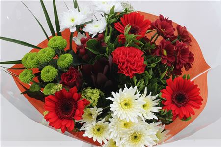 Срезанные цветы оптом Bouquet 15 stem red от 8шт из Голландии с доставкой по России