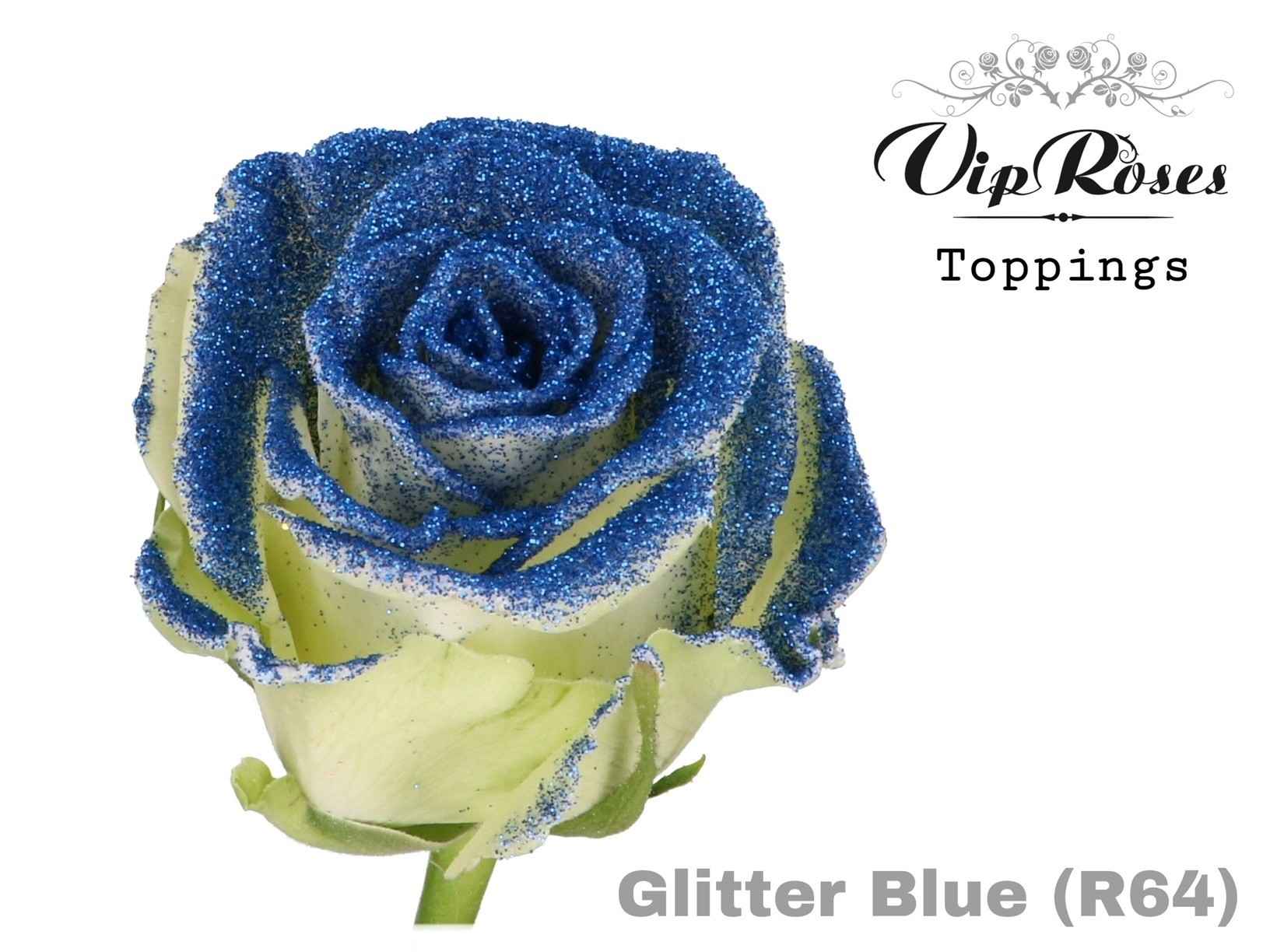 Срезанные цветы оптом Rosa la paint glitter blue (R64) от 20шт из Голландии с доставкой по России