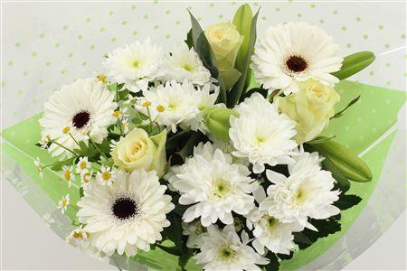 Срезанные цветы оптом Bouquet 3 rosa 3 germini white от 5шт из Голландии с доставкой по России