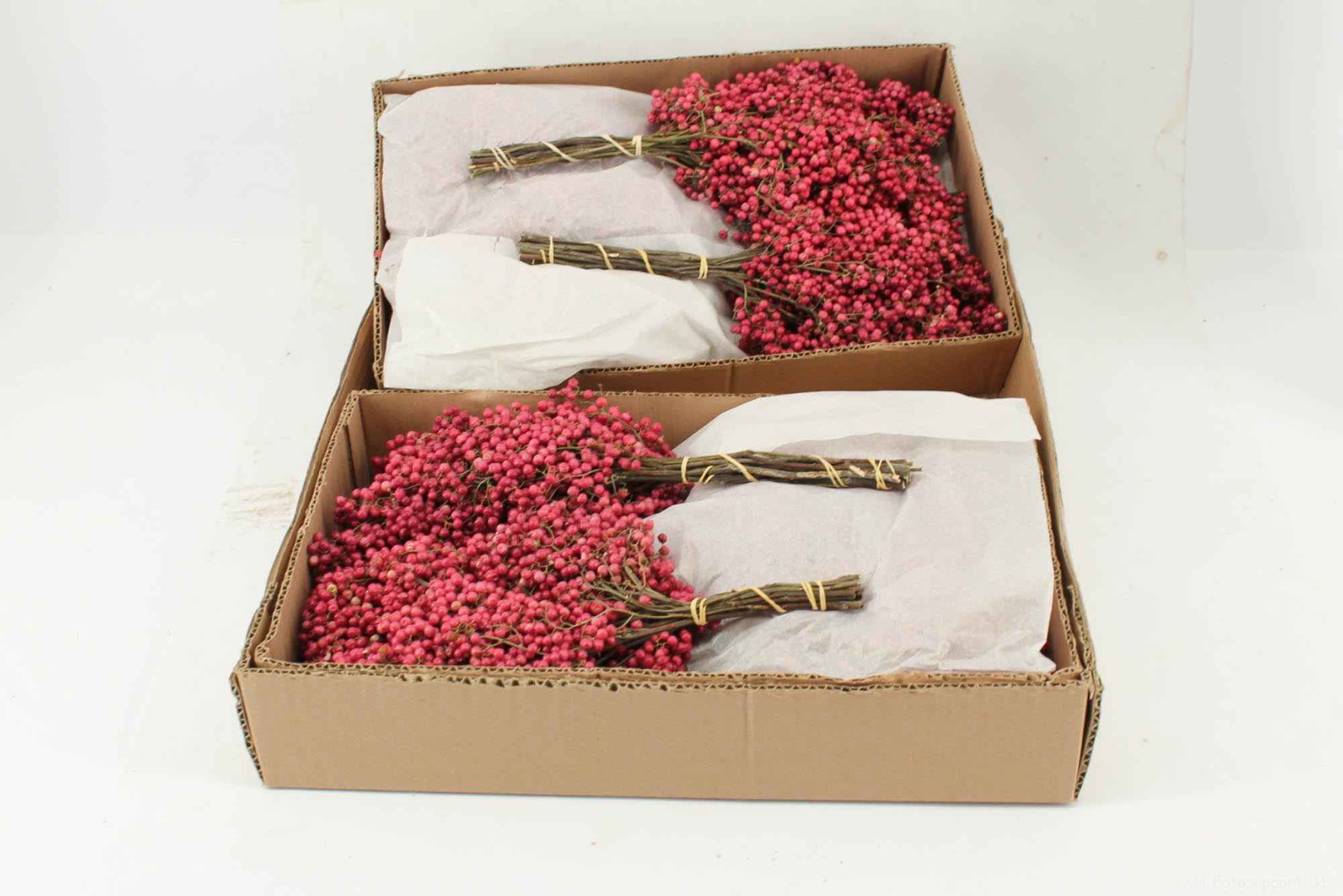 Срезанные цветы оптом Schinus mollis naturel от 10шт из Голландии с доставкой по России