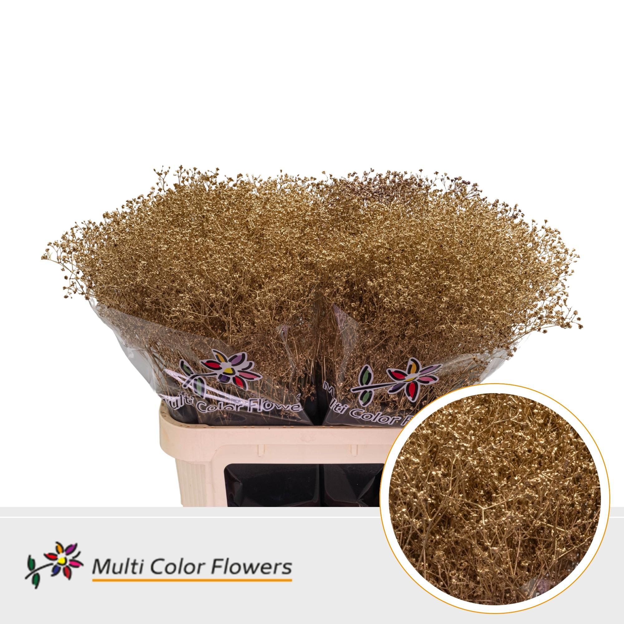 Срезанные цветы оптом Gyps mst paint antique от 50шт из Голландии с доставкой по России