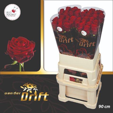 Срезанные цветы оптом Rosa large red naomi! Drift от 40шт из Голландии с доставкой по России