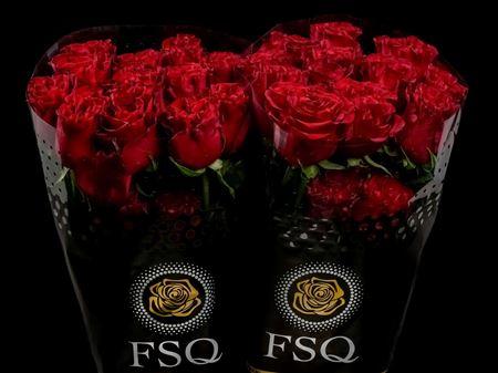 Срезанные цветы оптом Rosa ec hearts от 40шт из Голландии с доставкой по России