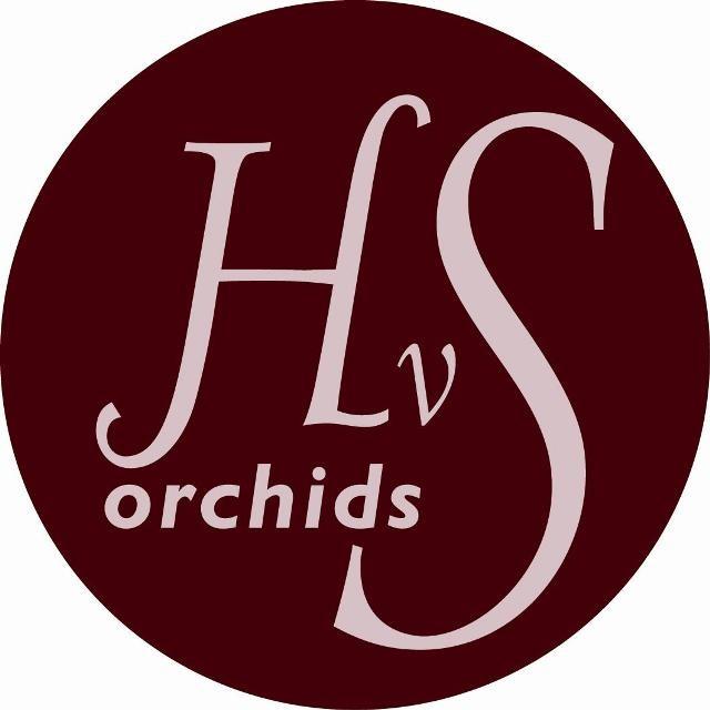 Срезанные цветы оптом Cymbidium red gigi от 6шт из Голландии с доставкой по России