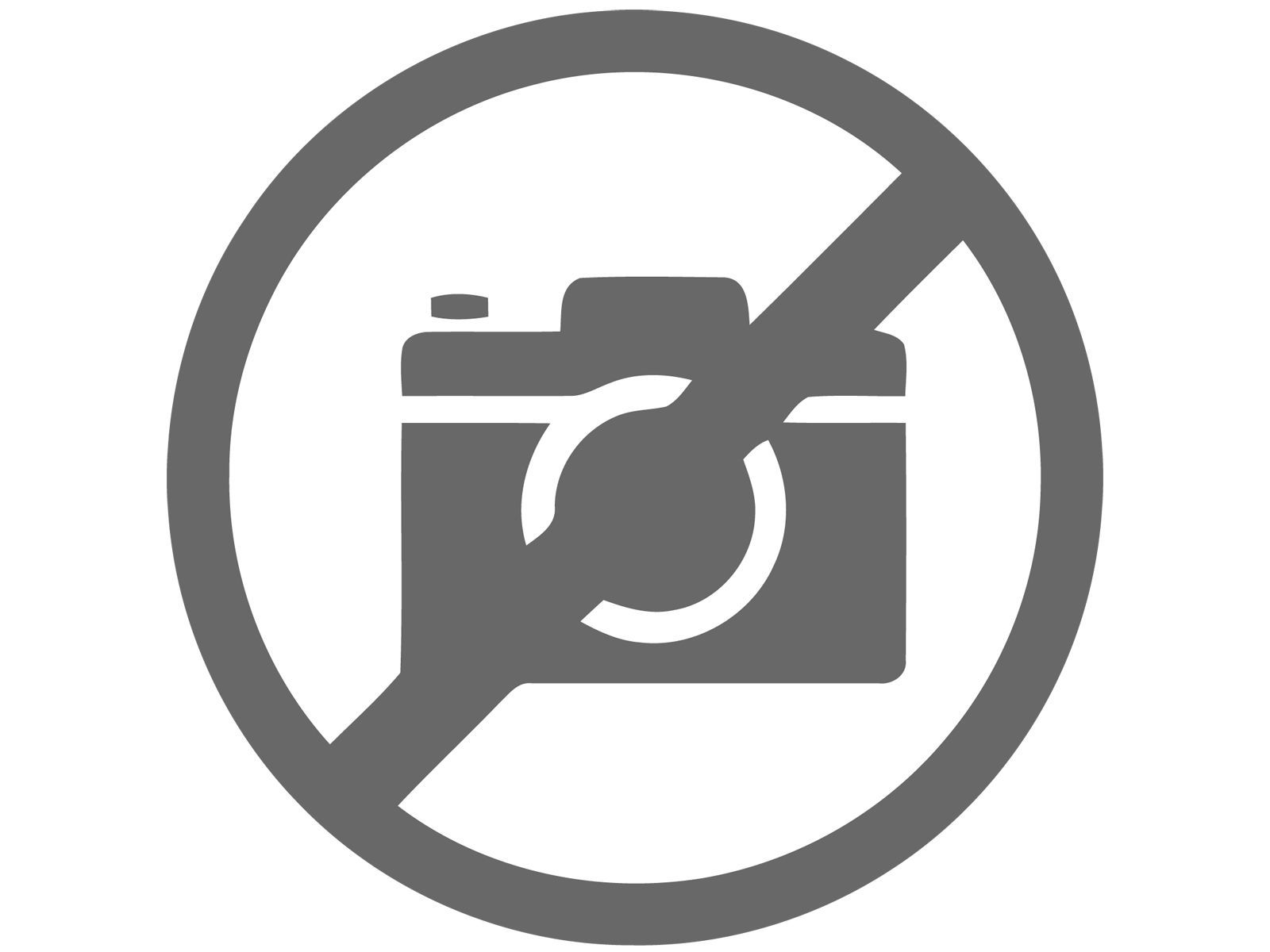 Горшечные цветы и растения оптом Phal Ov Wit от 10шт''' из Голландии с доставкой по России