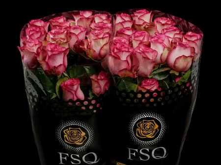Срезанные цветы оптом Rosa ec carrousel от 40шт из Голландии с доставкой по России