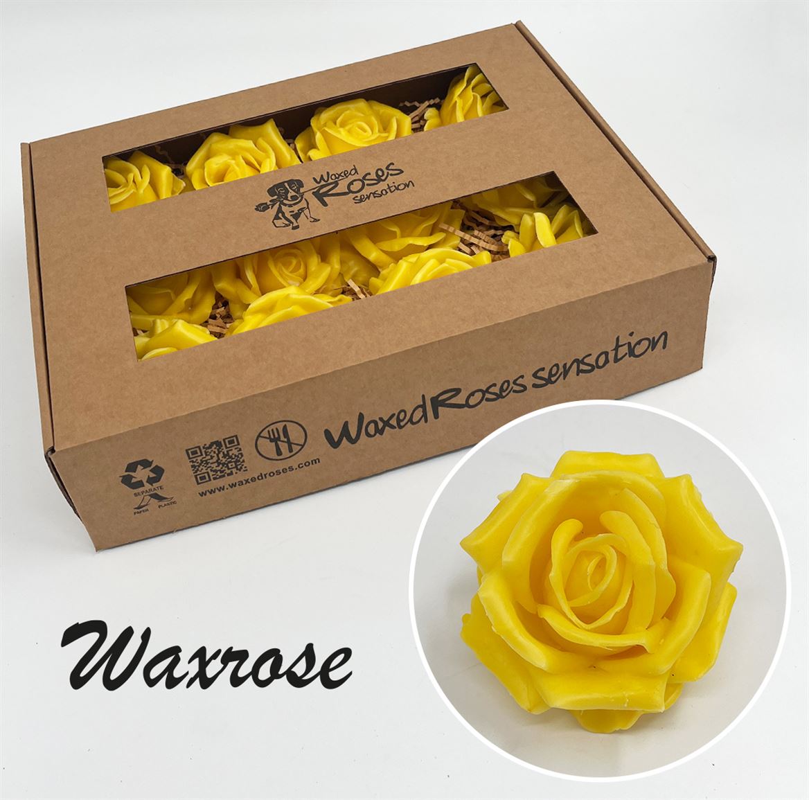 Срезанные цветы оптом Rosa large silk wax yellow от 12шт из Голландии с доставкой по России
