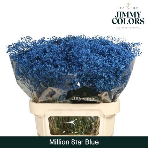 Срезанные цветы оптом Gyps fine paint blue от 50шт из Голландии с доставкой по России