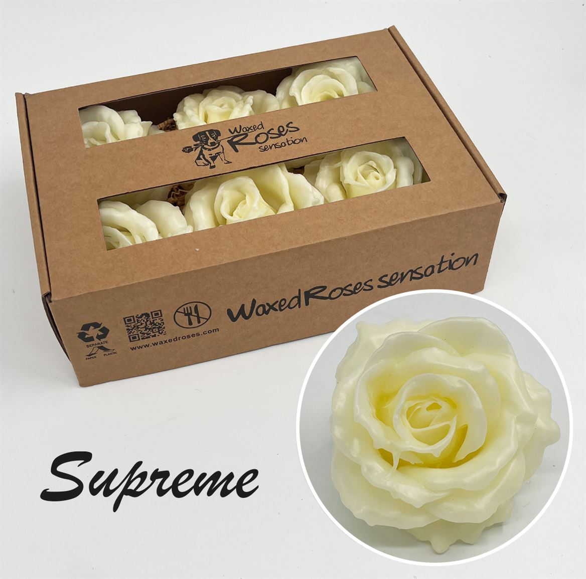 Срезанные цветы оптом Rosa large silk wax cream от 6шт из Голландии с доставкой по России