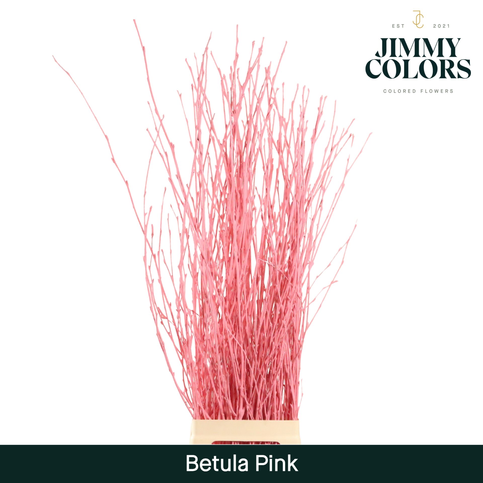 Срезанные цветы оптом Betula paint pink от 10шт из Голландии с доставкой по России
