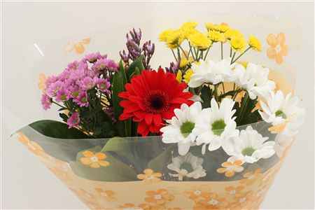 Срезанные цветы оптом Bouquet bont - various от 10шт из Голландии с доставкой по России