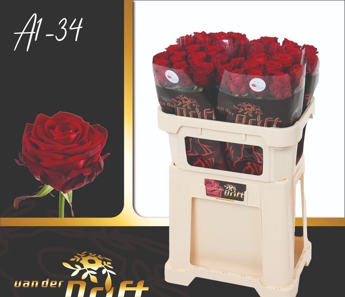 Срезанные цветы оптом Rosa large red naomi! Drift от 40шт из Голландии с доставкой по России