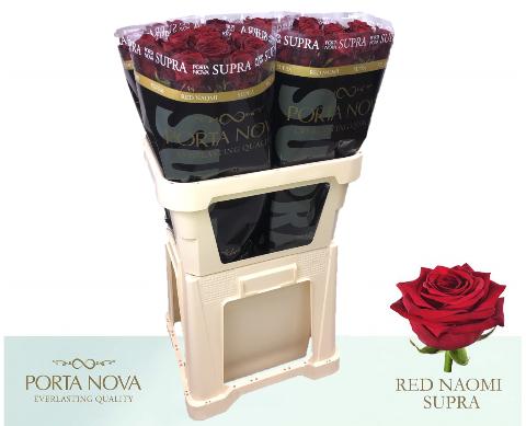 Срезанные цветы оптом Rosa large red naomi! Supra Porta Nova от 50шт из Голландии с доставкой по России