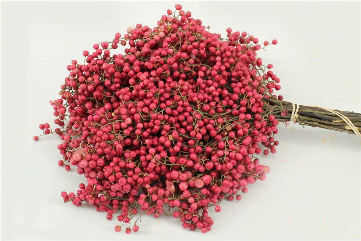 Срезанные цветы оптом Schinus mollis pink от 10шт из Голландии с доставкой по России