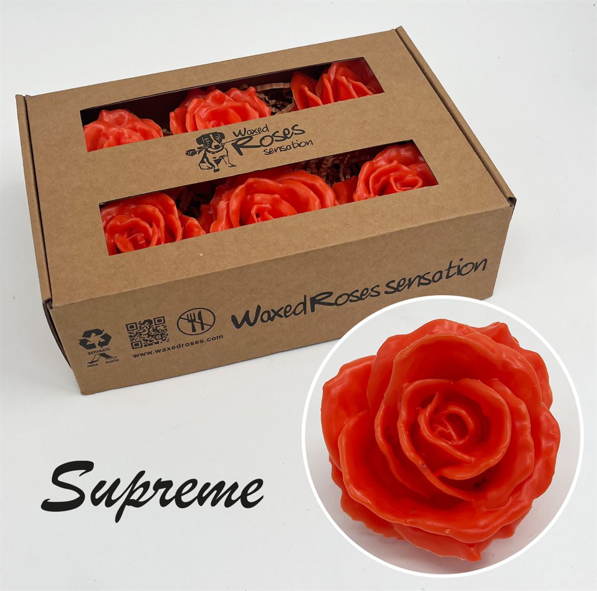 Срезанные цветы оптом Rosa large silk wax versilea dark от 6шт из Голландии с доставкой по России