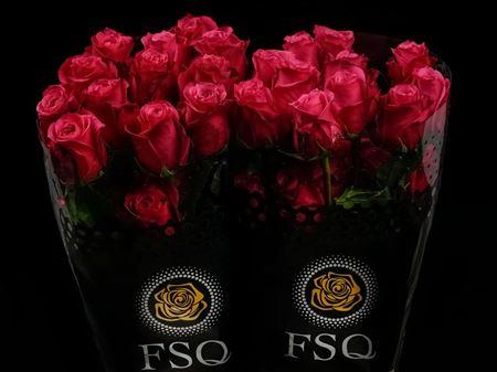 Срезанные цветы оптом Rosa ec cherry-o! от 40шт из Голландии с доставкой по России