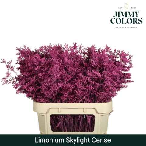 Срезанные цветы оптом Limonium skylight paint cerise от 25шт из Голландии с доставкой по России