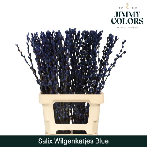 Срезанные цветы оптом Salix paint pussy willow blue от 200шт. из Голландии с доставкой по России