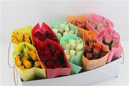 Срезанные цветы оптом Bouquet rosa in bag by colour от 10шт из Голландии с доставкой по России