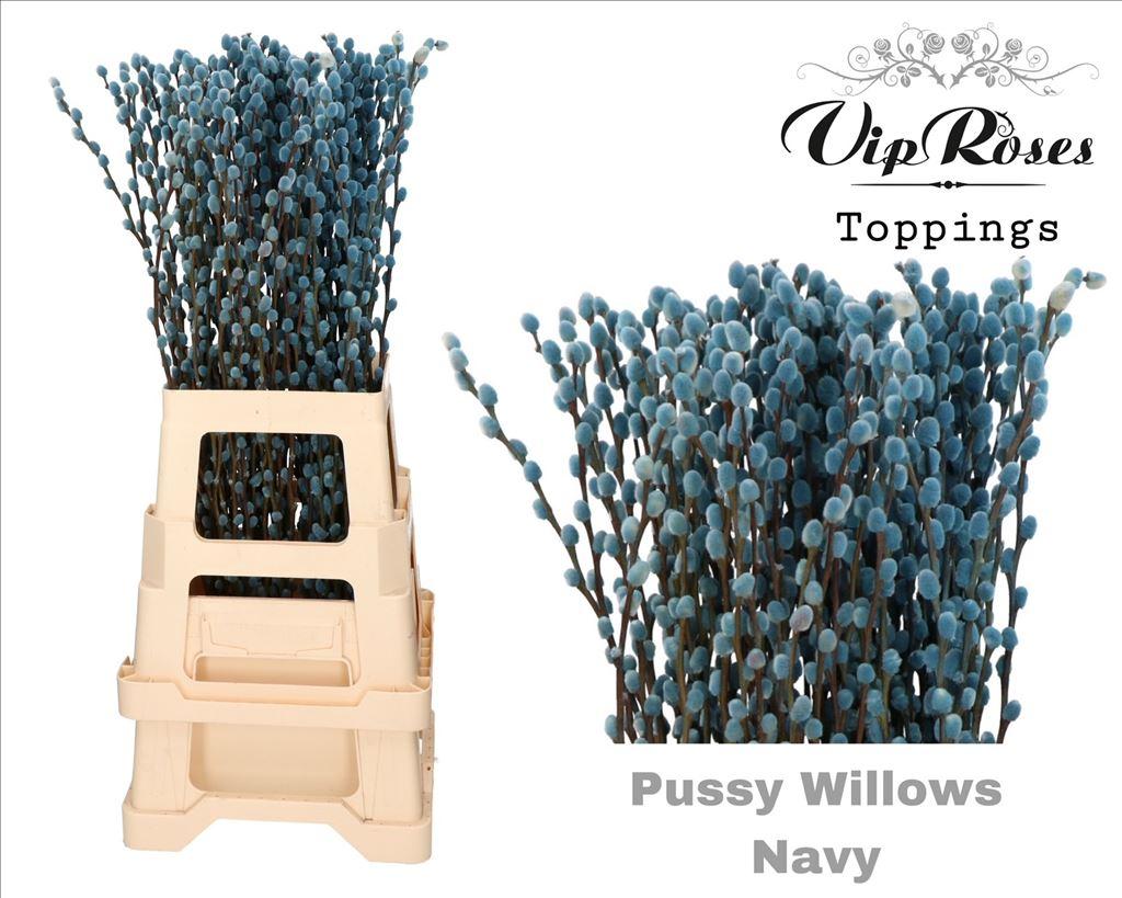 Срезанные цветы оптом Salix paint pussy willow navy от 100шт из Голландии с доставкой по России