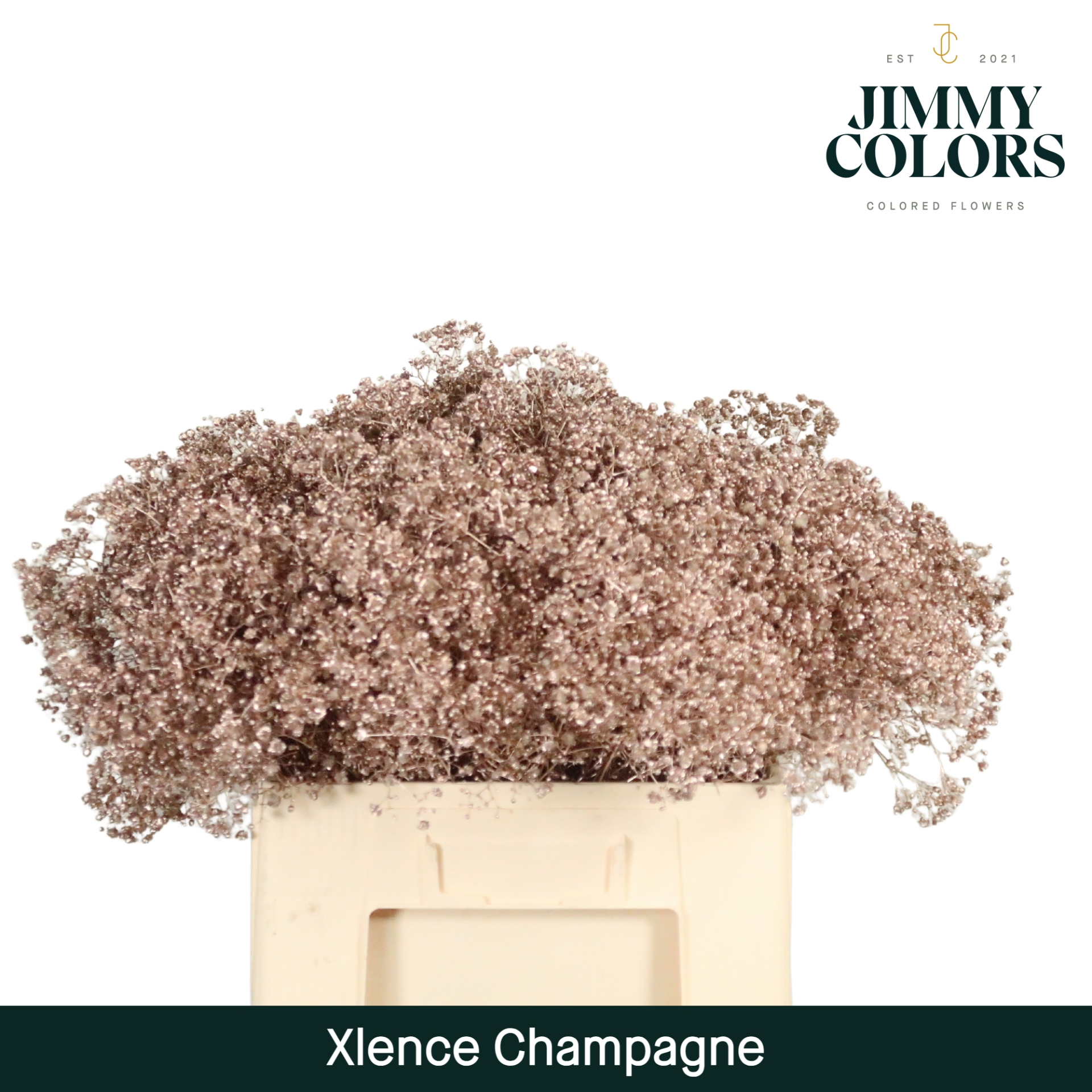 Срезанные цветы оптом Gyps large paint metallic champagne от 25шт из Голландии с доставкой по России