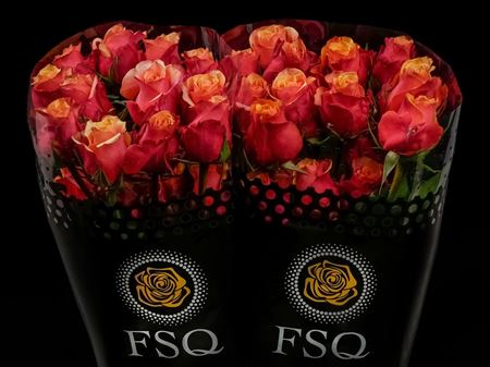Срезанные цветы оптом Rosa ec cherry brandy от 40шт из Голландии с доставкой по России