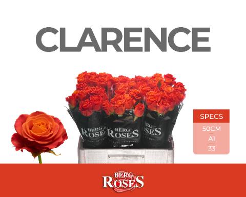 Срезанные цветы оптом Rosa large clarence от 60шт из Голландии с доставкой по России