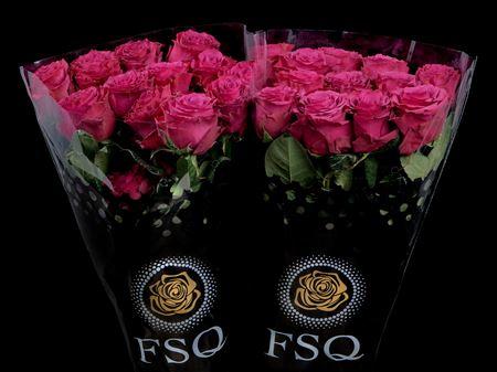 Срезанные цветы оптом Rosa ec venturoso от 20шт из Голландии с доставкой по России