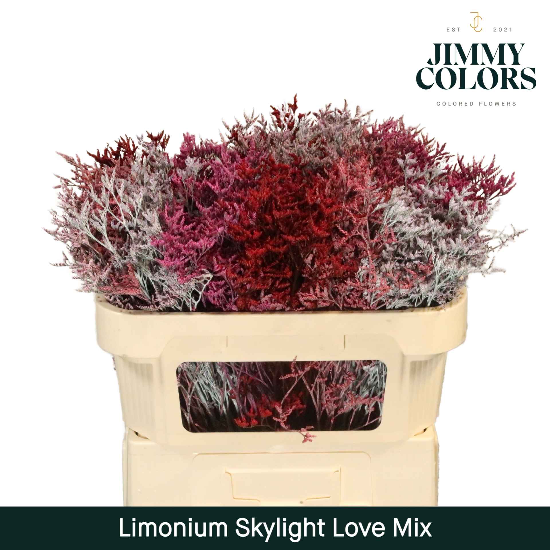 Срезанные цветы оптом Limonium paint mix love от 75шт из Голландии с доставкой по России