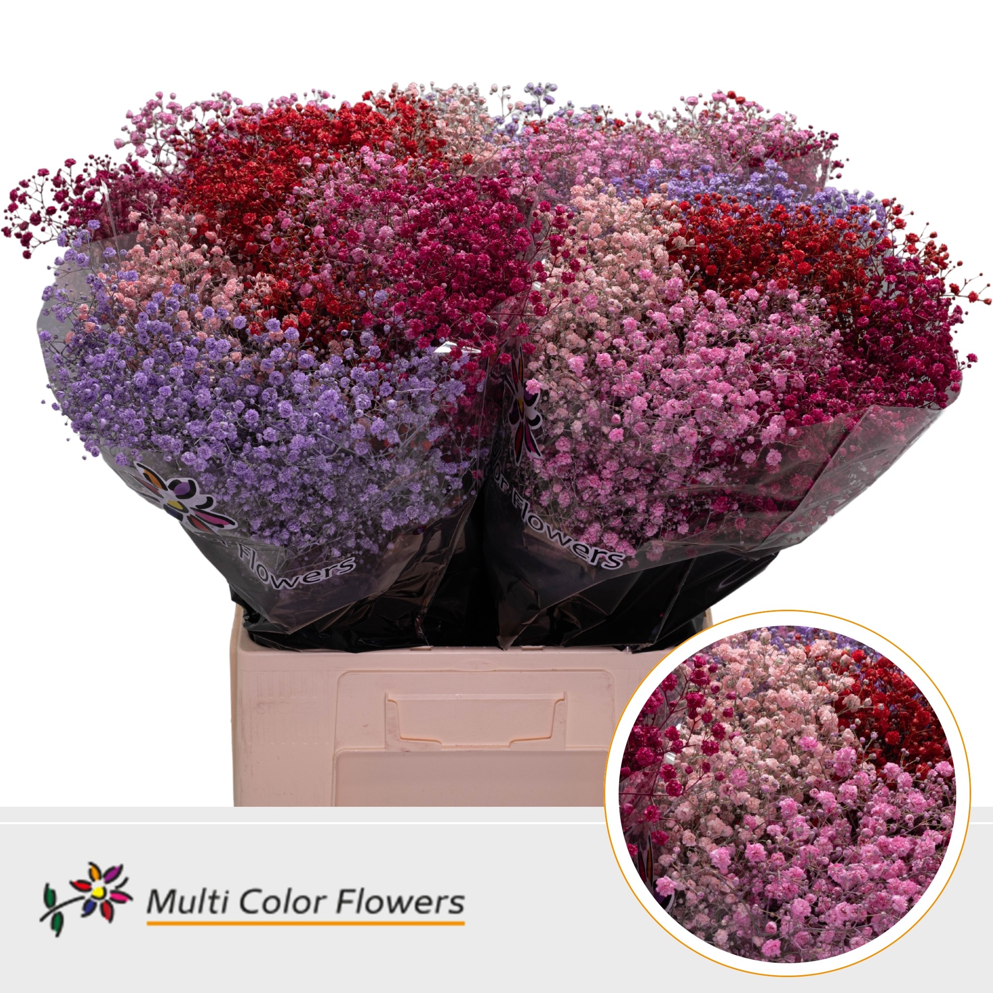 Срезанные цветы оптом Gyps large paint mix love от 100шт из Голландии с доставкой по России