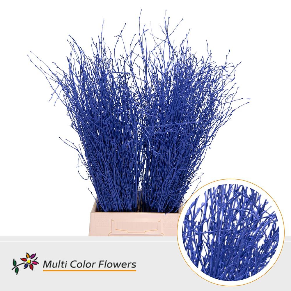 Срезанные цветы оптом Betula paint blue dark A от 100шт из Голландии с доставкой по России