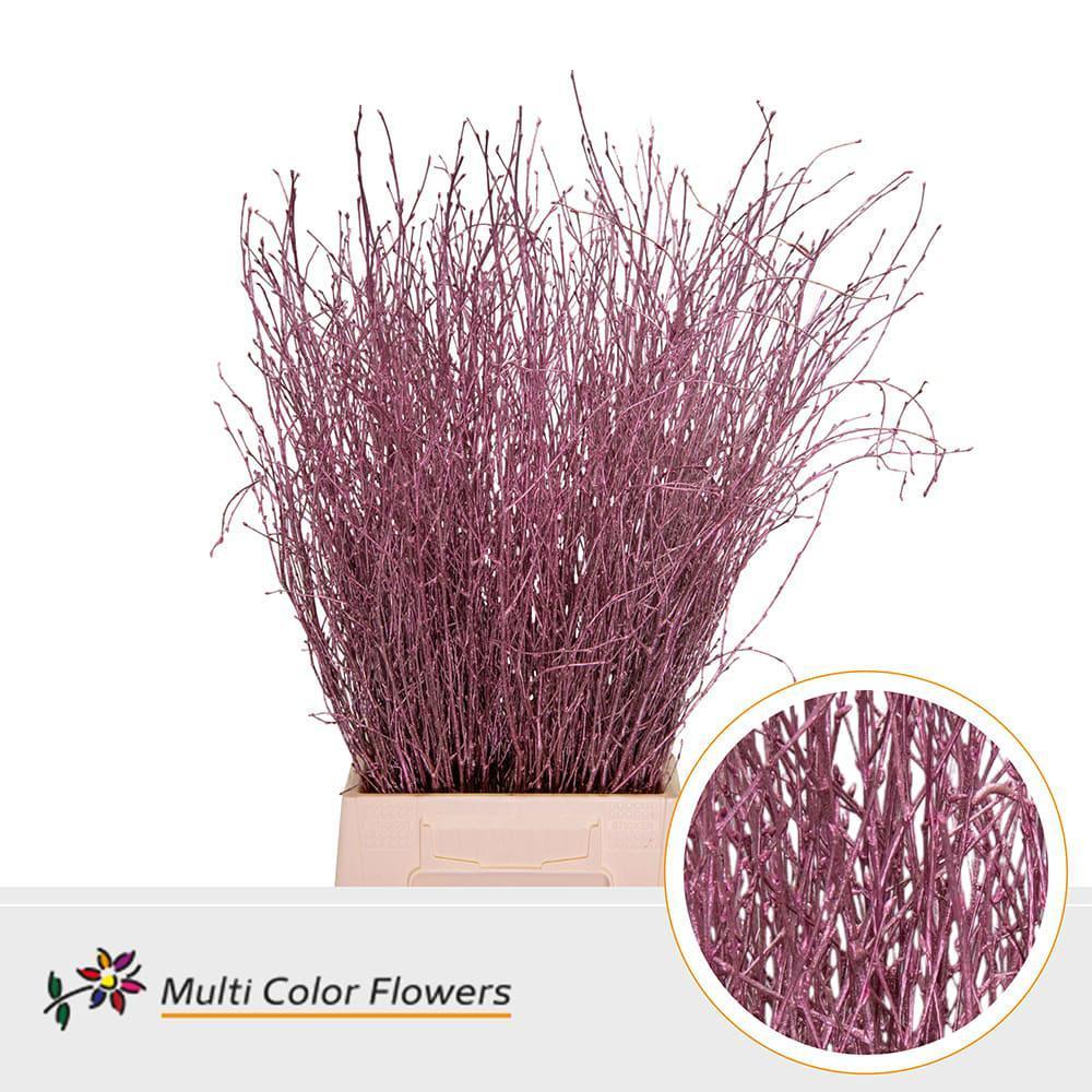 Срезанные цветы оптом Betula paint metallic pink от 100шт из Голландии с доставкой по России