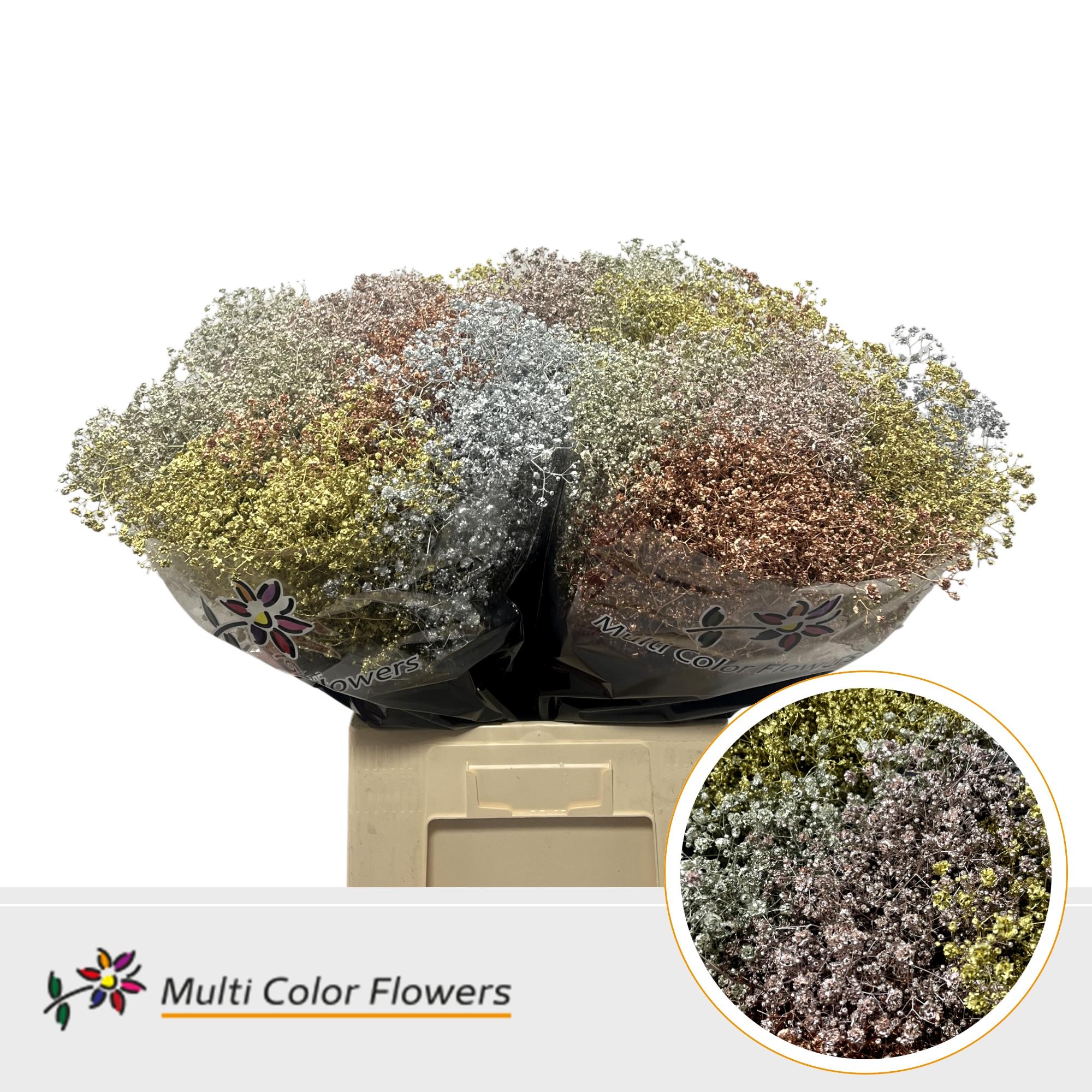 Срезанные цветы оптом Gyps large paint christmas mix metallic от 100шт из Голландии с доставкой по России