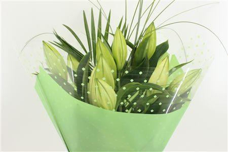 Срезанные цветы оптом Bouquet mono lilium white от 10шт из Голландии с доставкой по России