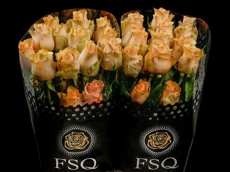 Срезанные цветы оптом Rosa ec nectarine от 20шт из Голландии с доставкой по России