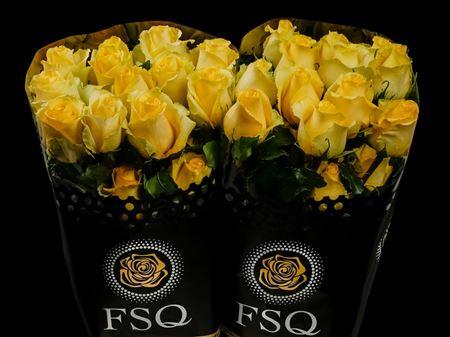 Срезанные цветы оптом Rosa ec tara от 40шт из Голландии с доставкой по России